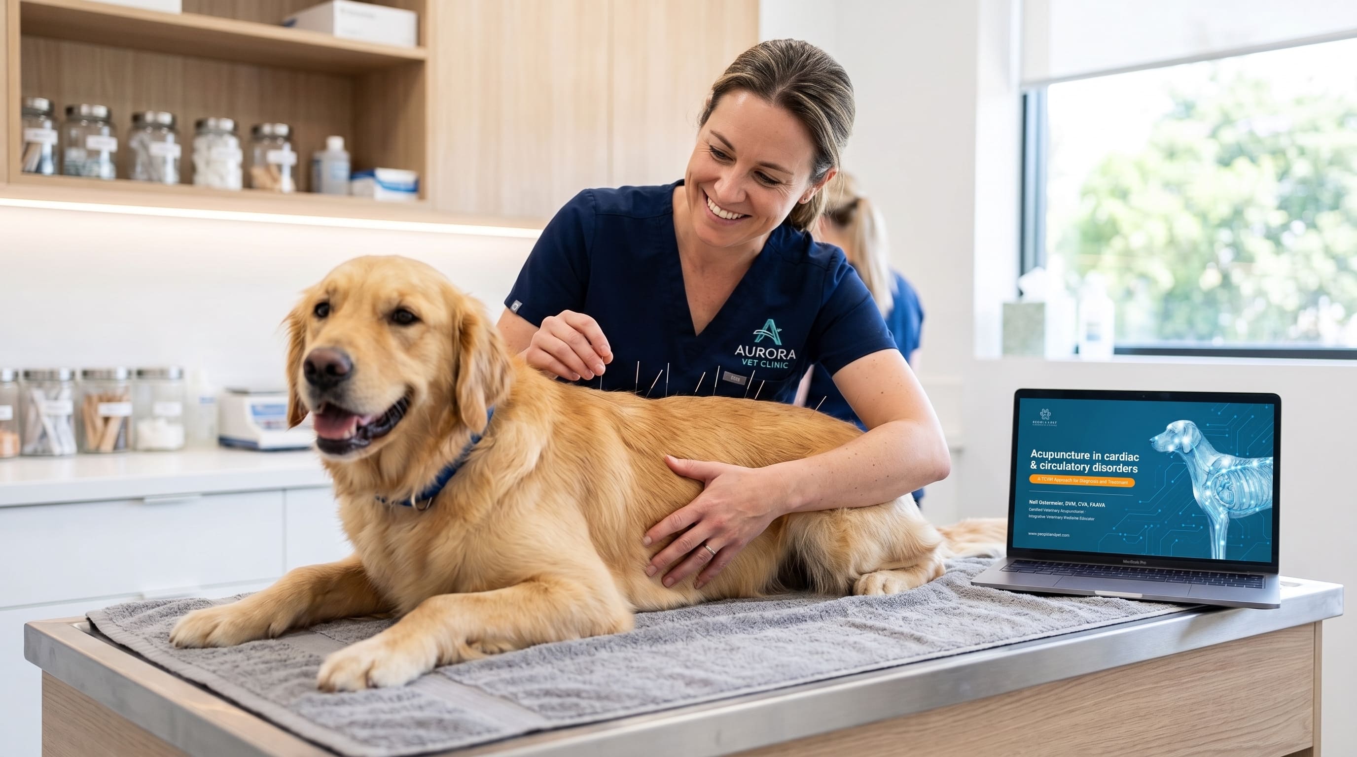Every Day Acupuncture Pro Membership