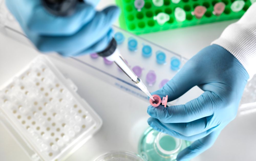 laboratory testing for hormones, gut health, and immune response