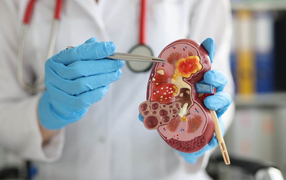 functional medicine approach to managing chronic illness and inflammation