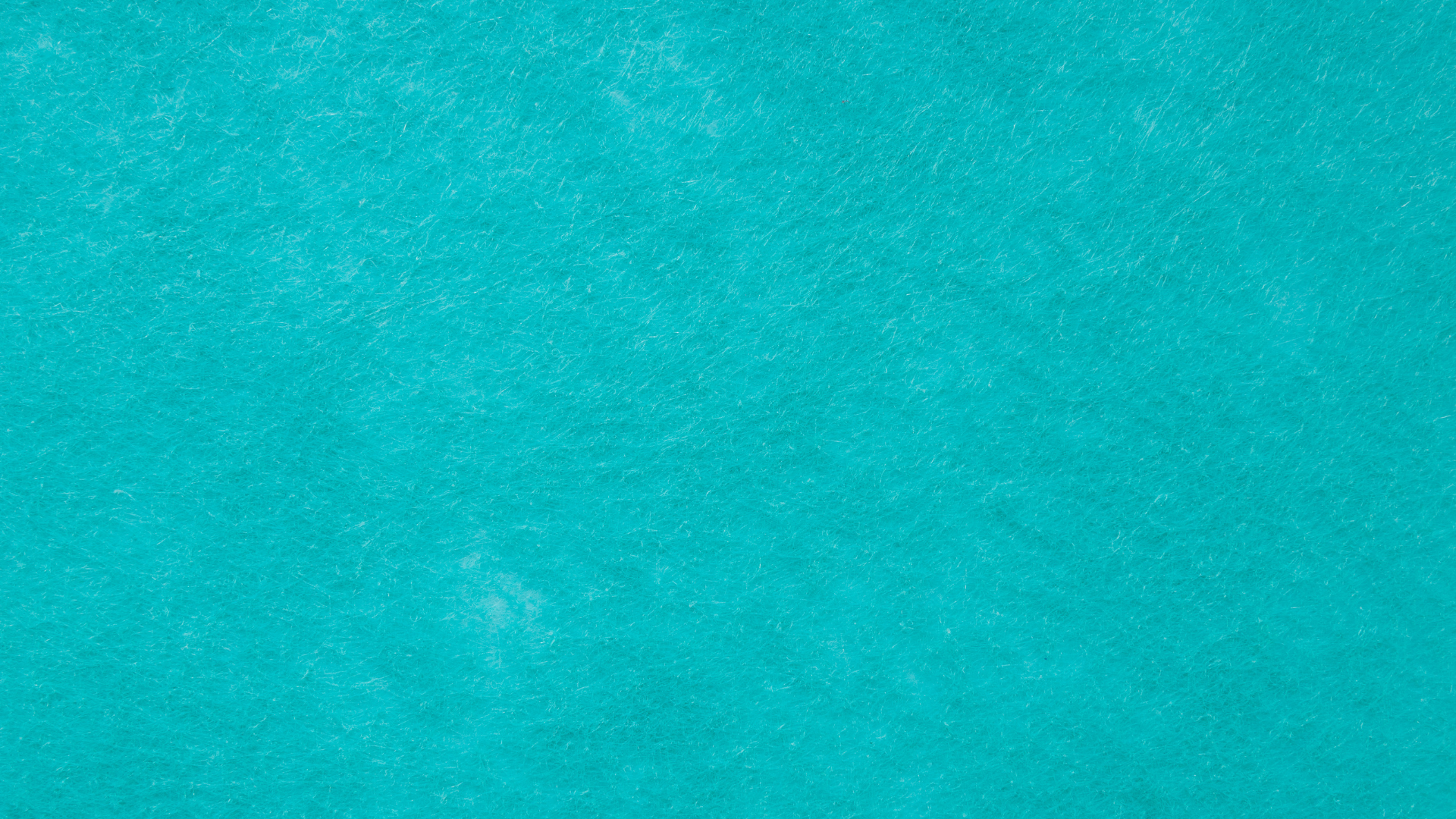 Your Online Programs