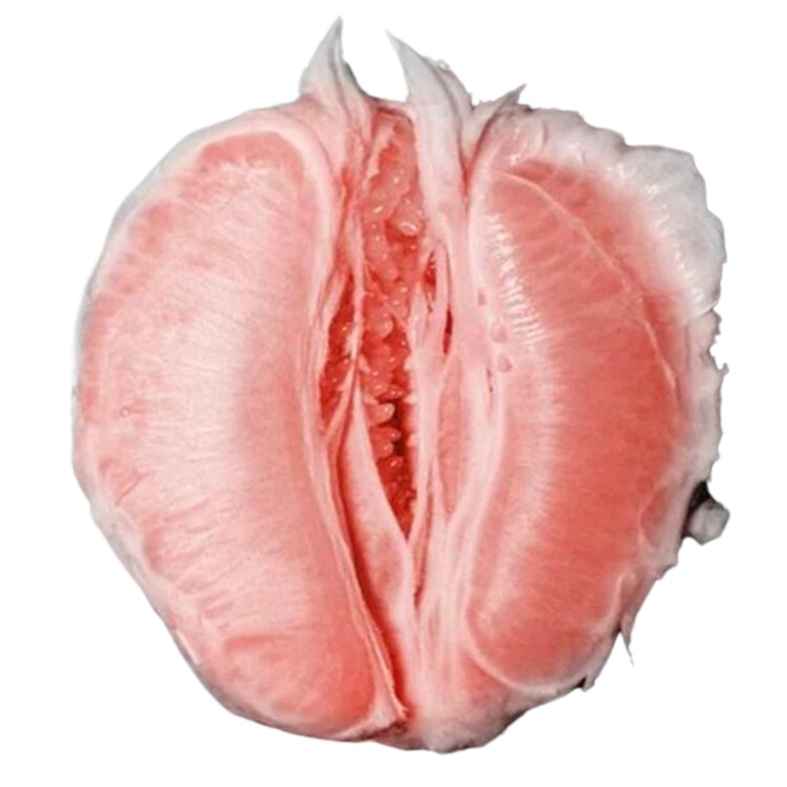 sexual and reproductive health