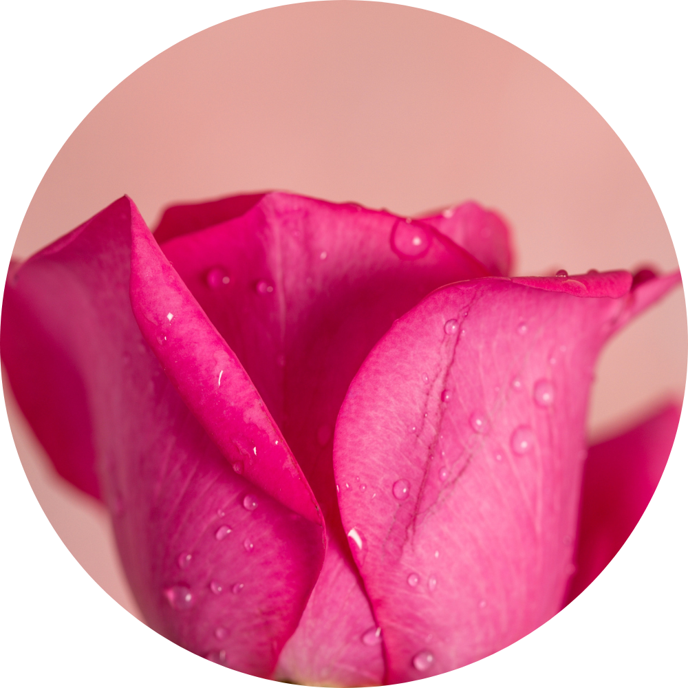 critical thinking in sexuality