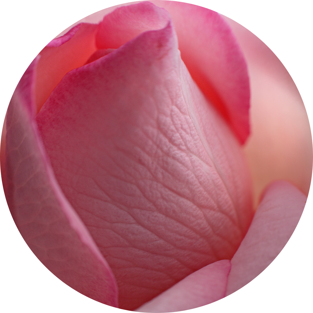 tips for sexual well being