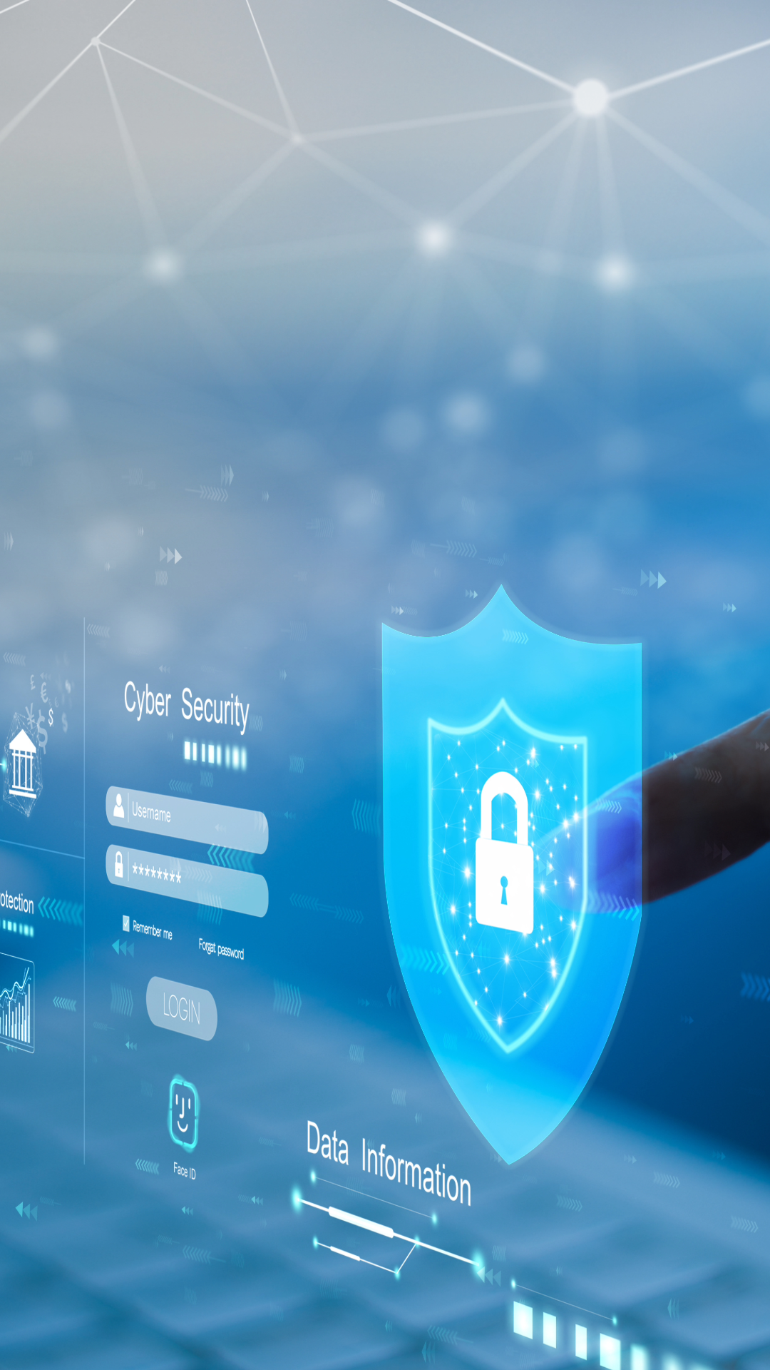 Seguridad Cibernética