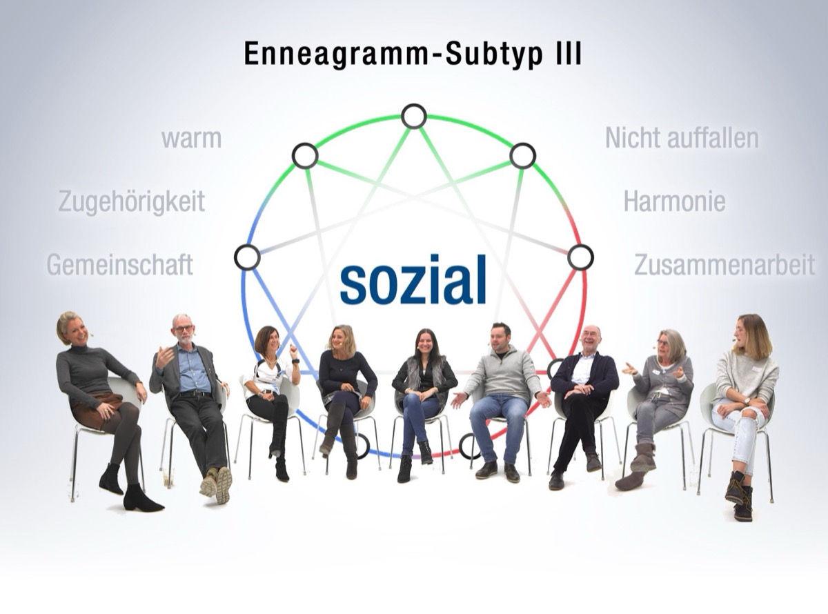 Sozialer Subtyp (Enneagramm)