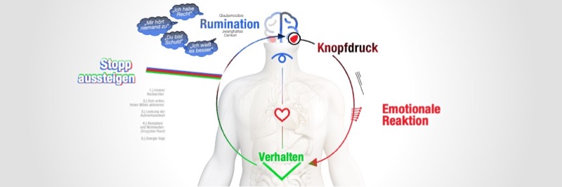 Modell: Emotionaler Reaktionskreislauf erklärt im Gratis eBook
