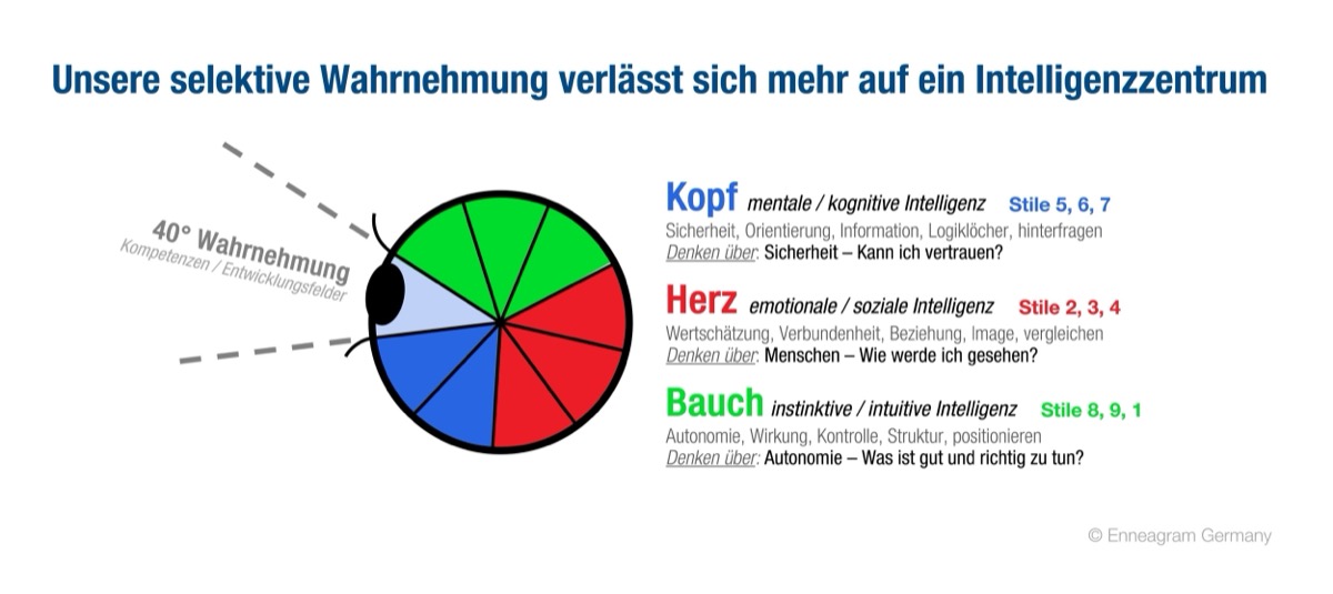 Enneagramm Strukturmodell und die 3 Intelligenzen