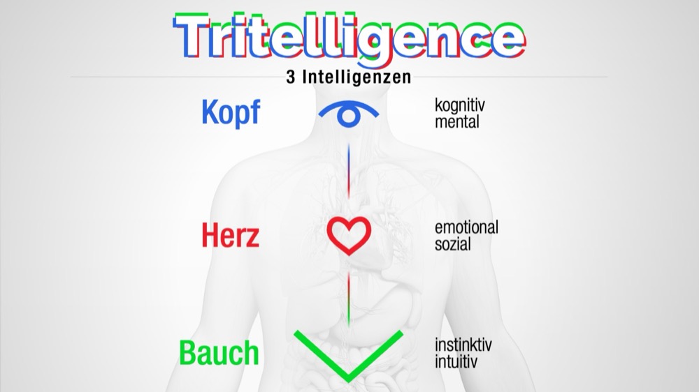 3 Intelligenzen - Tritelligence