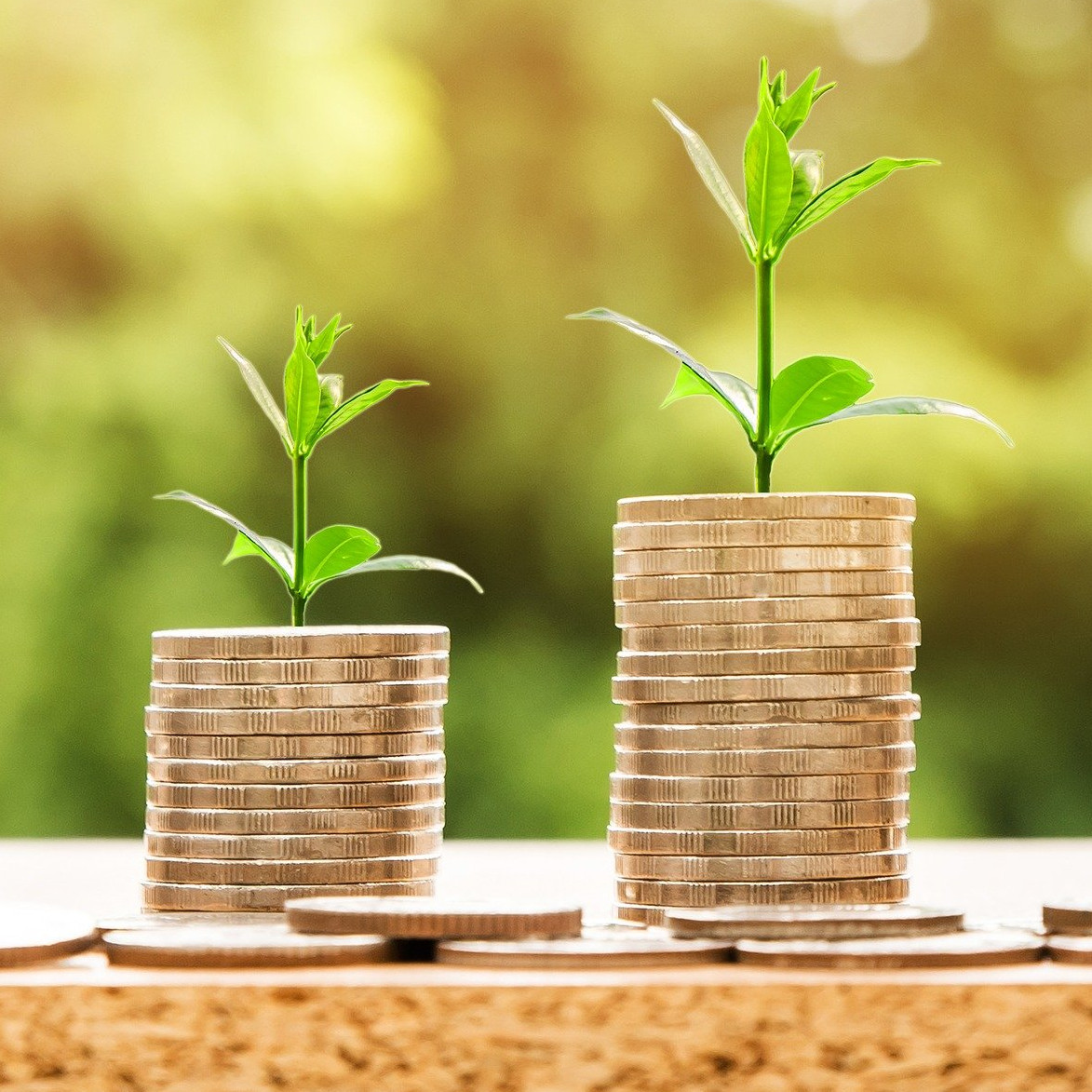 Singing bird, explaining science to laymen to raise awareness about environmental issues