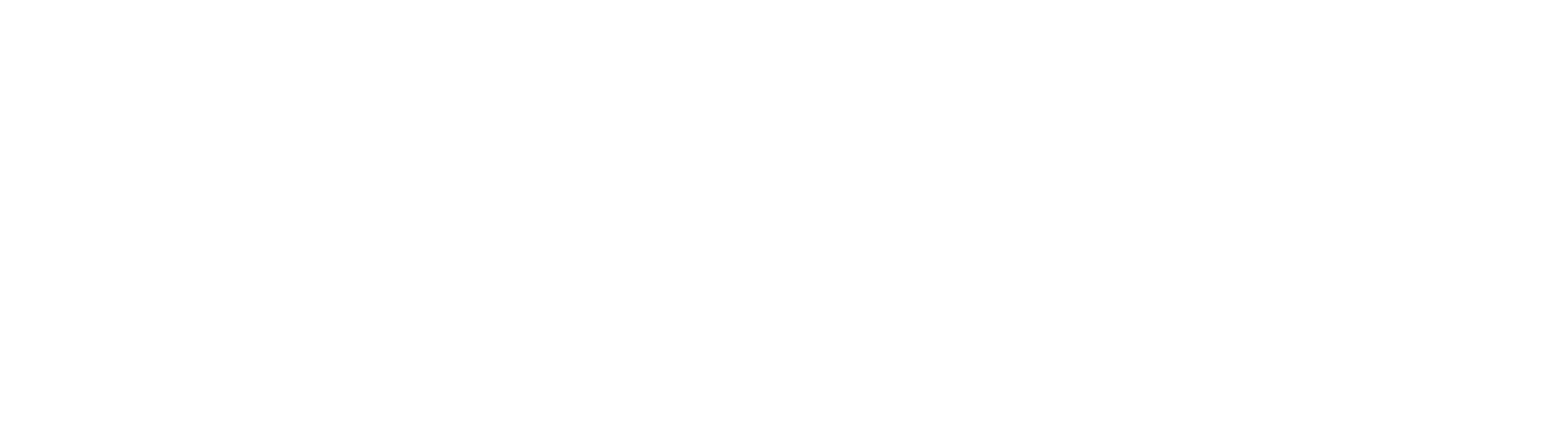 International Coaching Institute