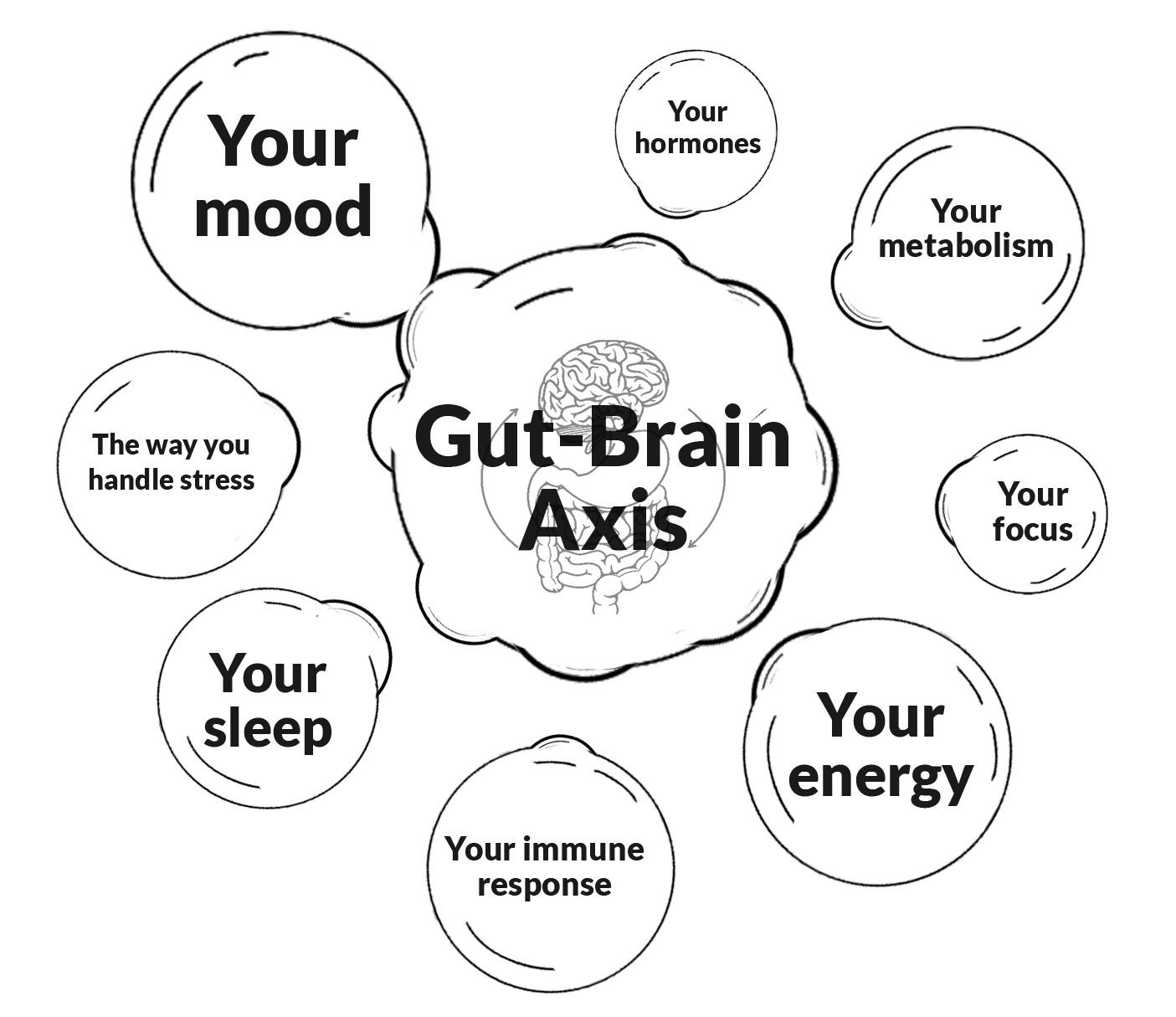 Gut Brain Axis