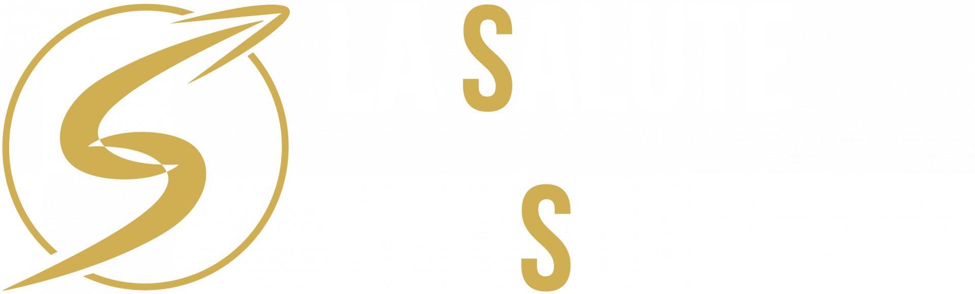 la salute nel successo