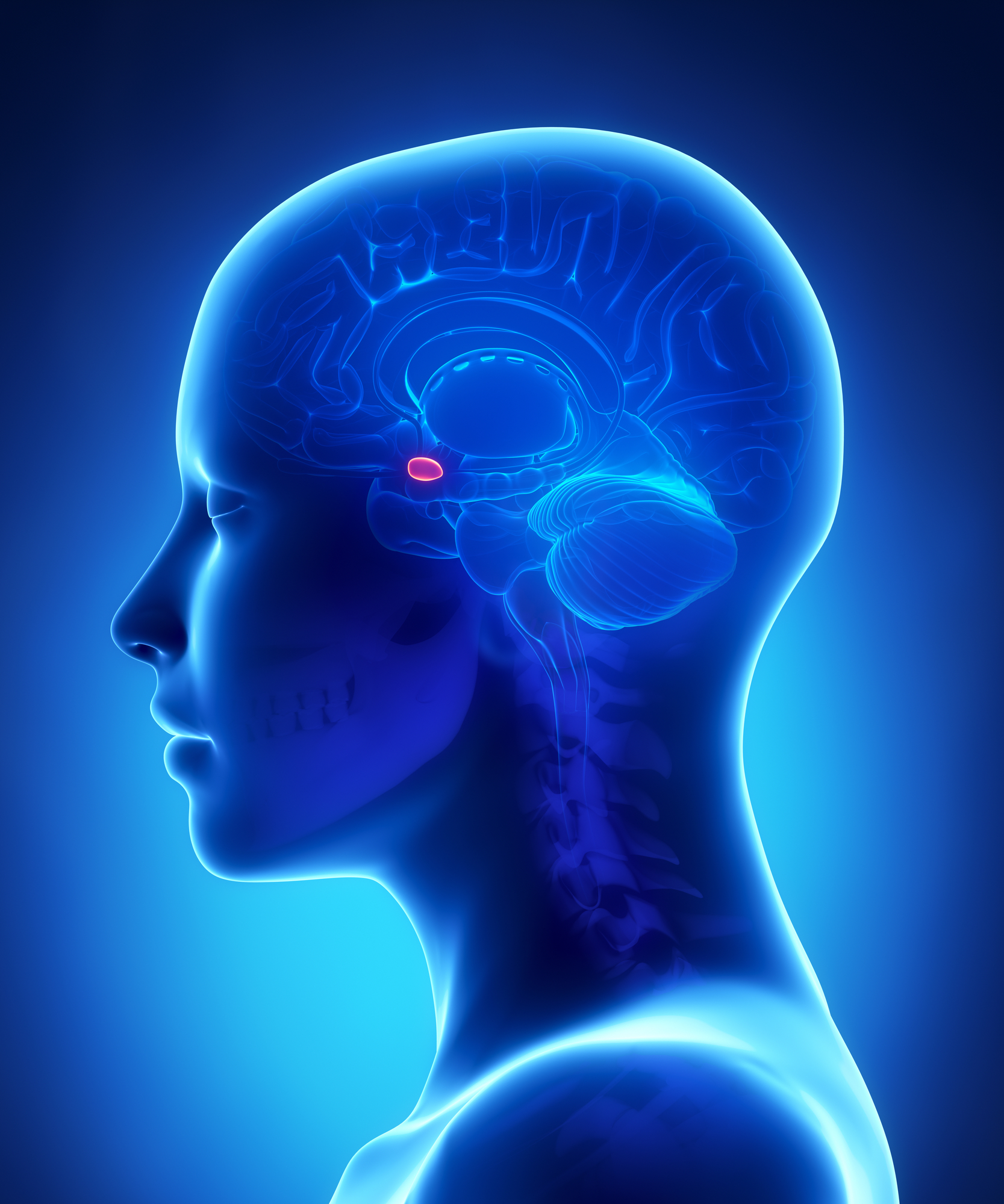 Amygdala Healing Pris 59 kr.