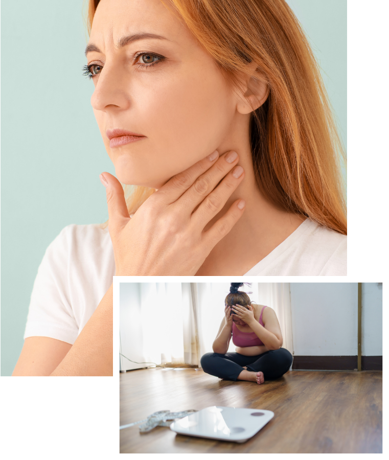 THYROID HEALTH FREE TRAINING