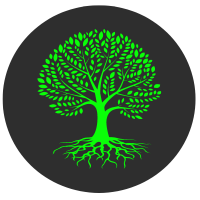 landscaping debris removal  iCan Dumpster Services LLC