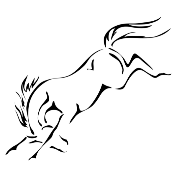 STEED DIGITAL - BUCKING HORSE