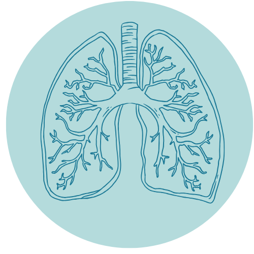 Lungs icon