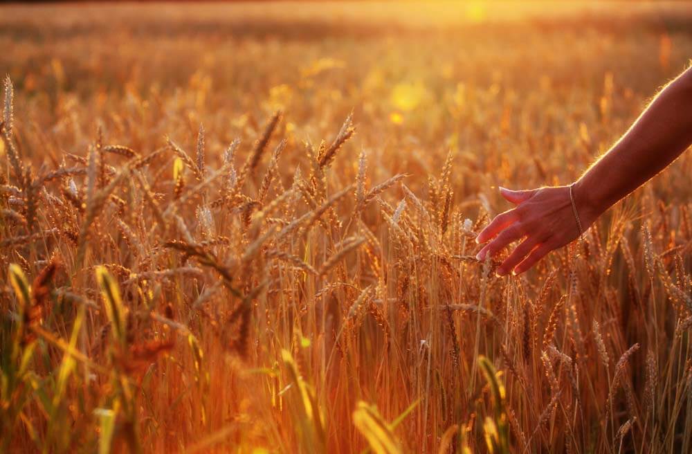 Los Angeles divorce recovery coach