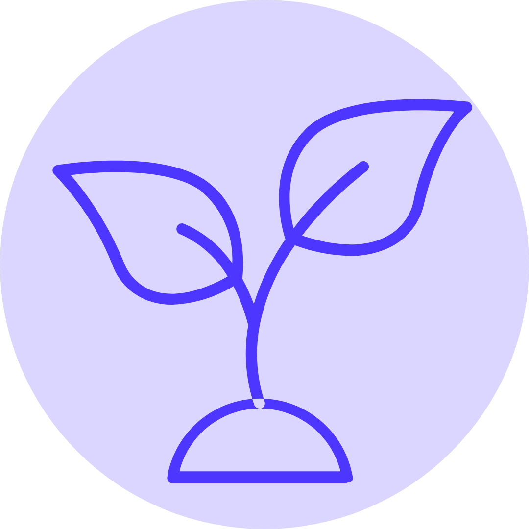 A growing seedling