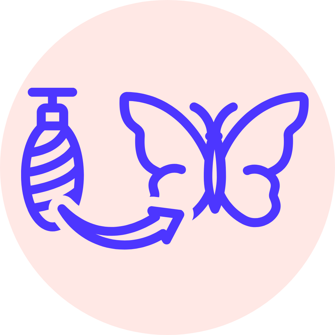 Butterfly leaving its cocoon