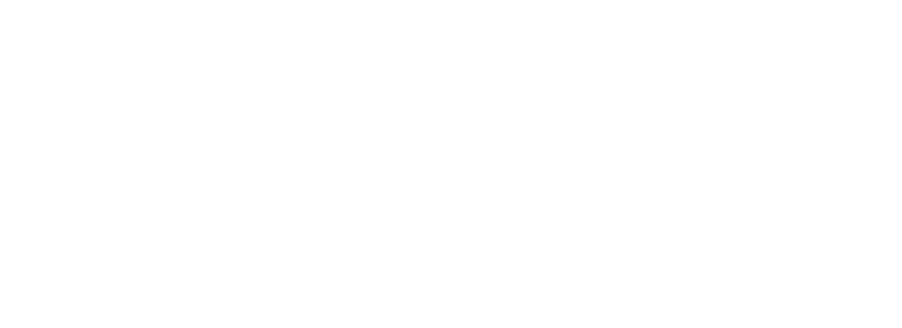 Linceis logo