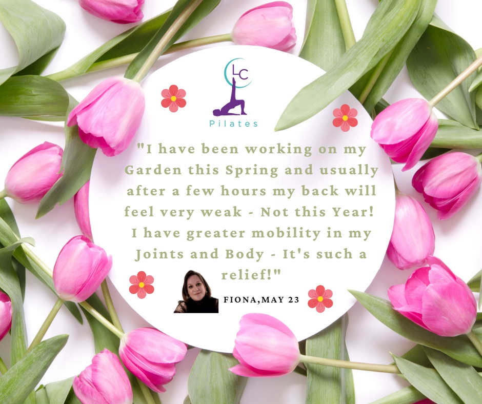 Here's what My Clients Have to Say About Me!