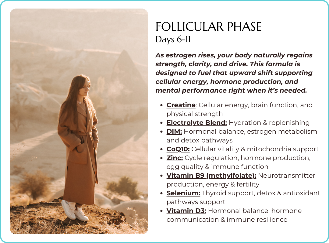 Follicular Phase