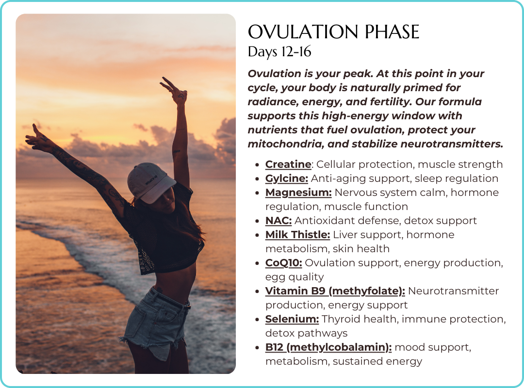 Ovulation Phase