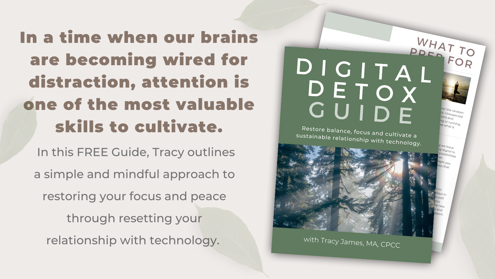 V2+1-4-24+Digital+Detox+Download+website+banner