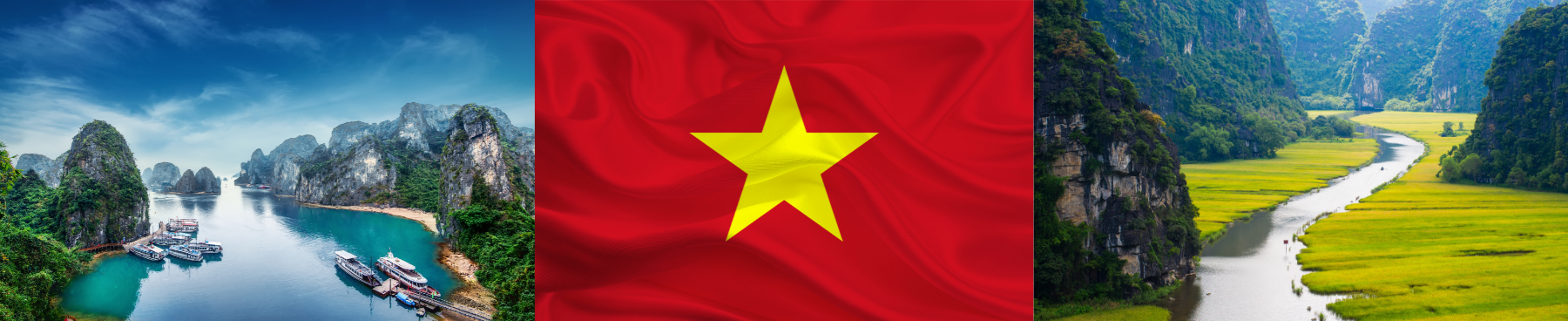 Vietnam 2024 Booking Terms and Conditions