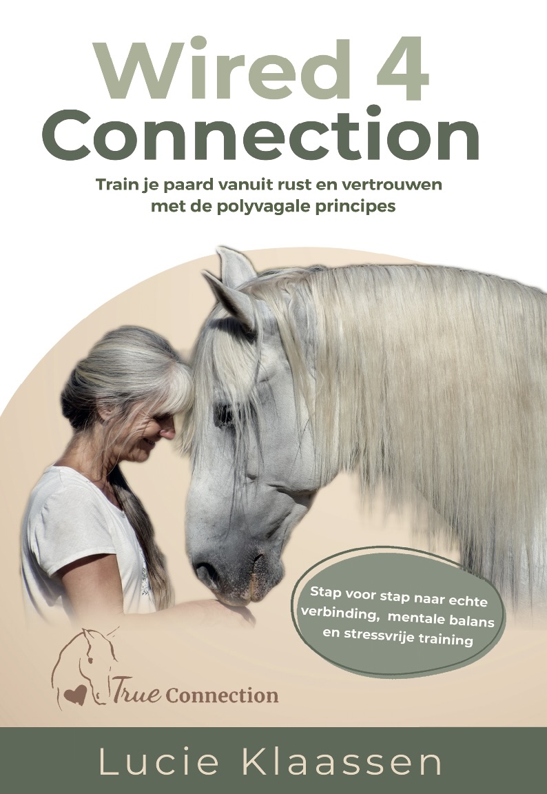 Boek Wired 4 Connection Nederlandse editie