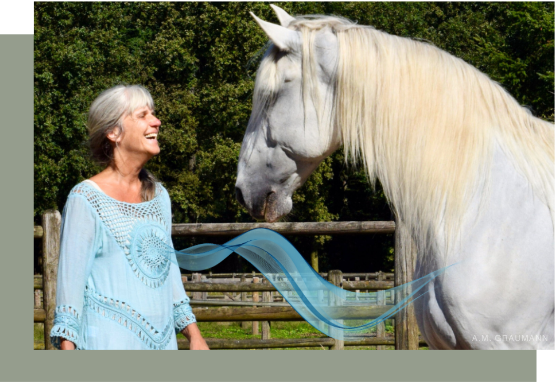 Photo by A.M. Graumann