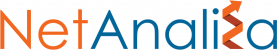 logo netanaliza