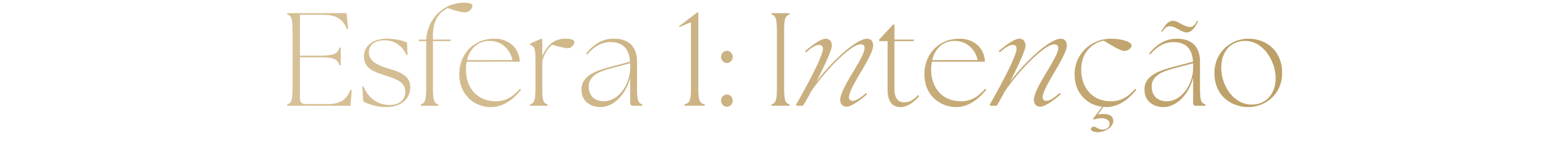 O 8IAMBusiness™ Um sistema operativo para o teu negócio intencional, planeamento estratégico, liderança, empresária