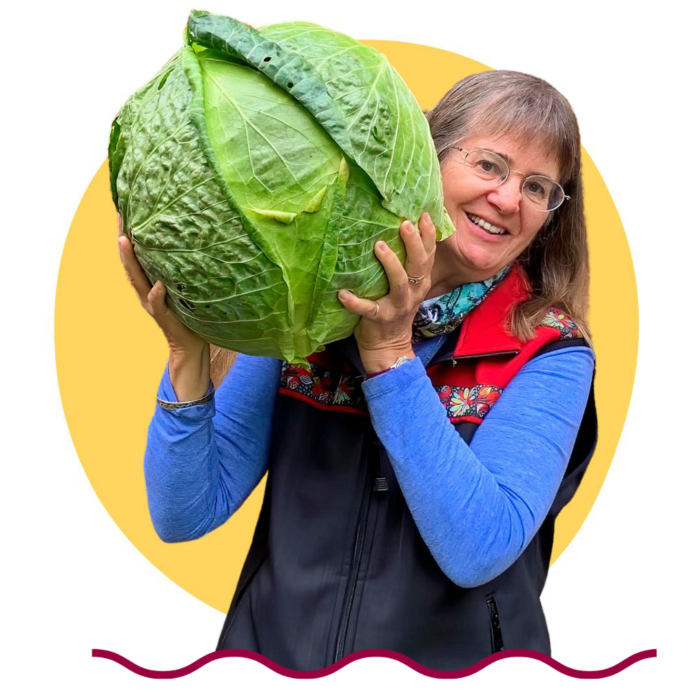 Marion Owen - The UpBeet Gardener with her huge cabbage grown from organic gardening and composting