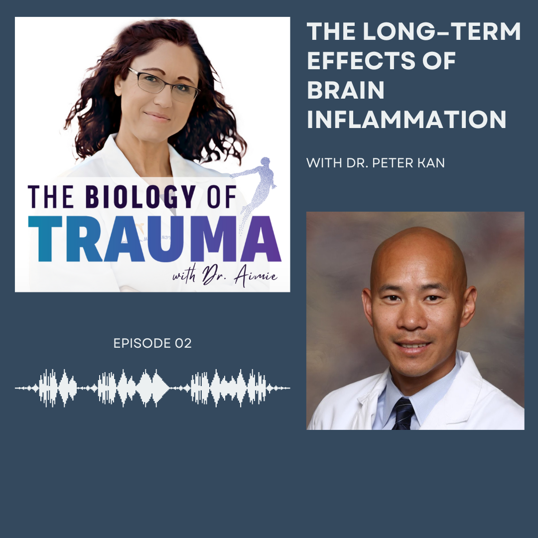 Dr. Aimie Apigian, Dr. Peter Kan, Biology of trauma, brain inflammation, brain fog, Marissa Brennan, podcast