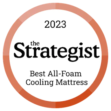 The Strategist 2023 Editor's Pick