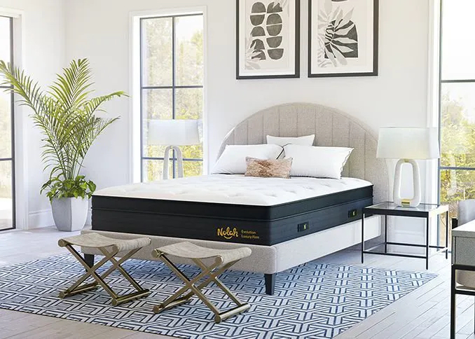 Bear mattress soft feel