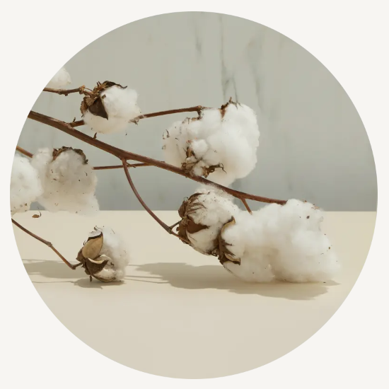 Organic Cotton