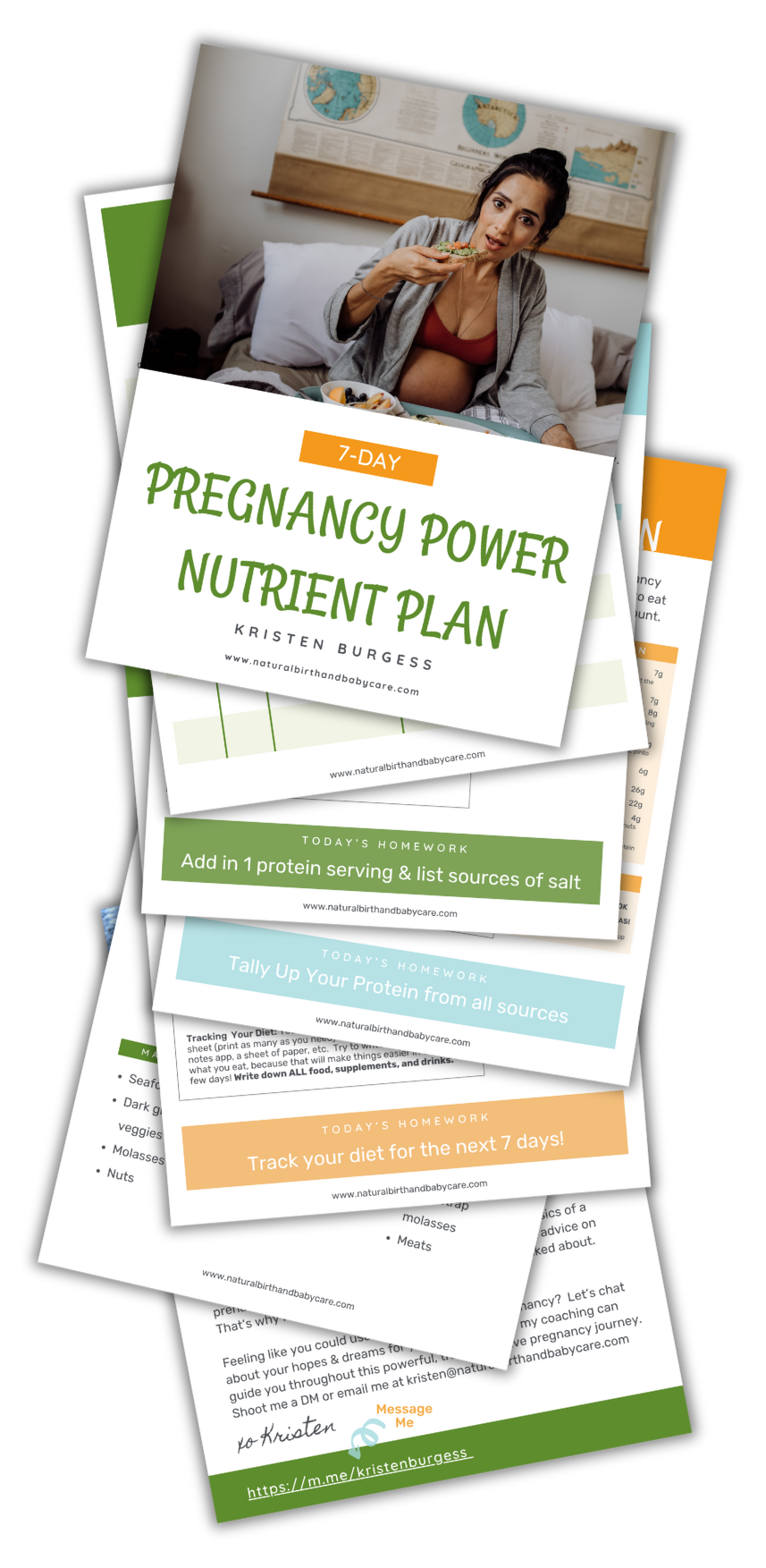 Pregnancy nutrient power plan printables
