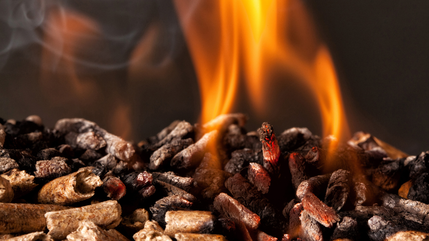 Myla Saavedra, Myla Saavedra Blog, Entrepreneurial Grace, mindset, entrepreneurship, motivational, inspirational, reflection