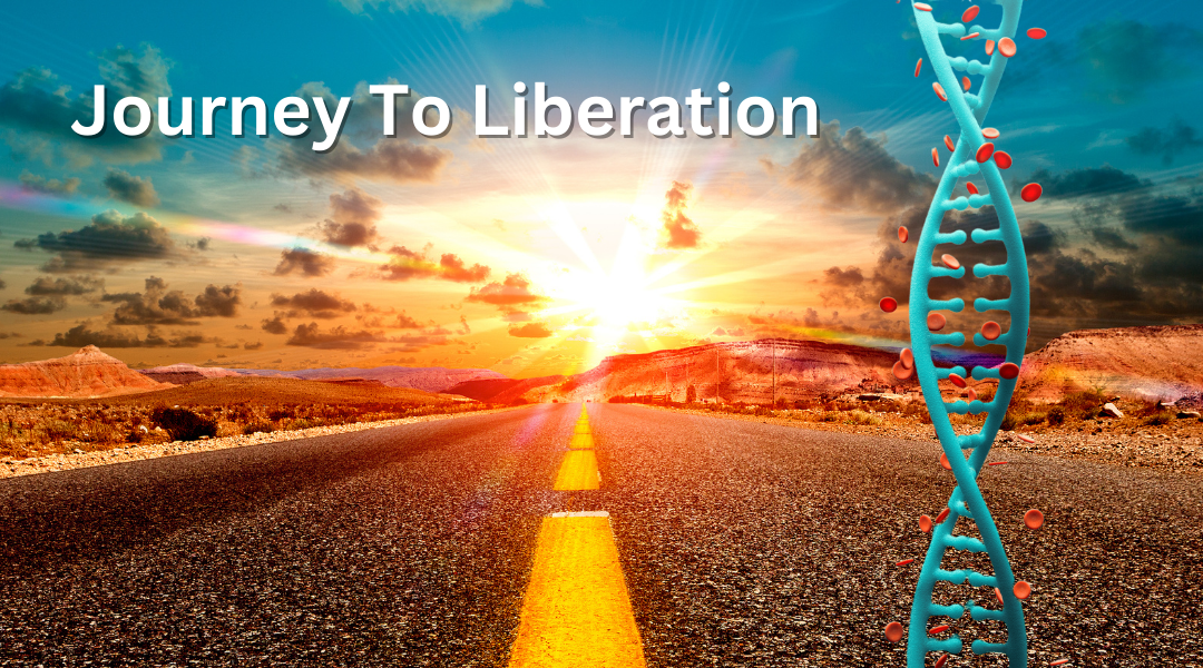 Journey to Freedom