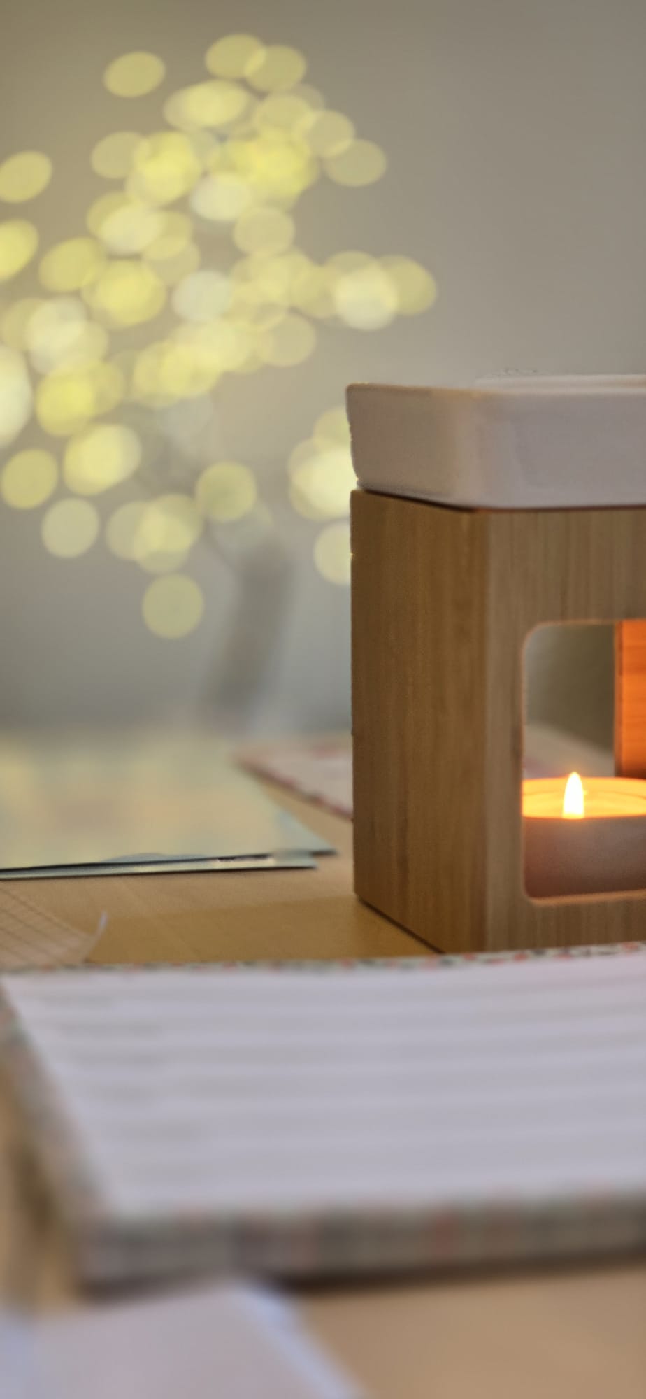 Business Chakra Coaching with Nadine Bdil