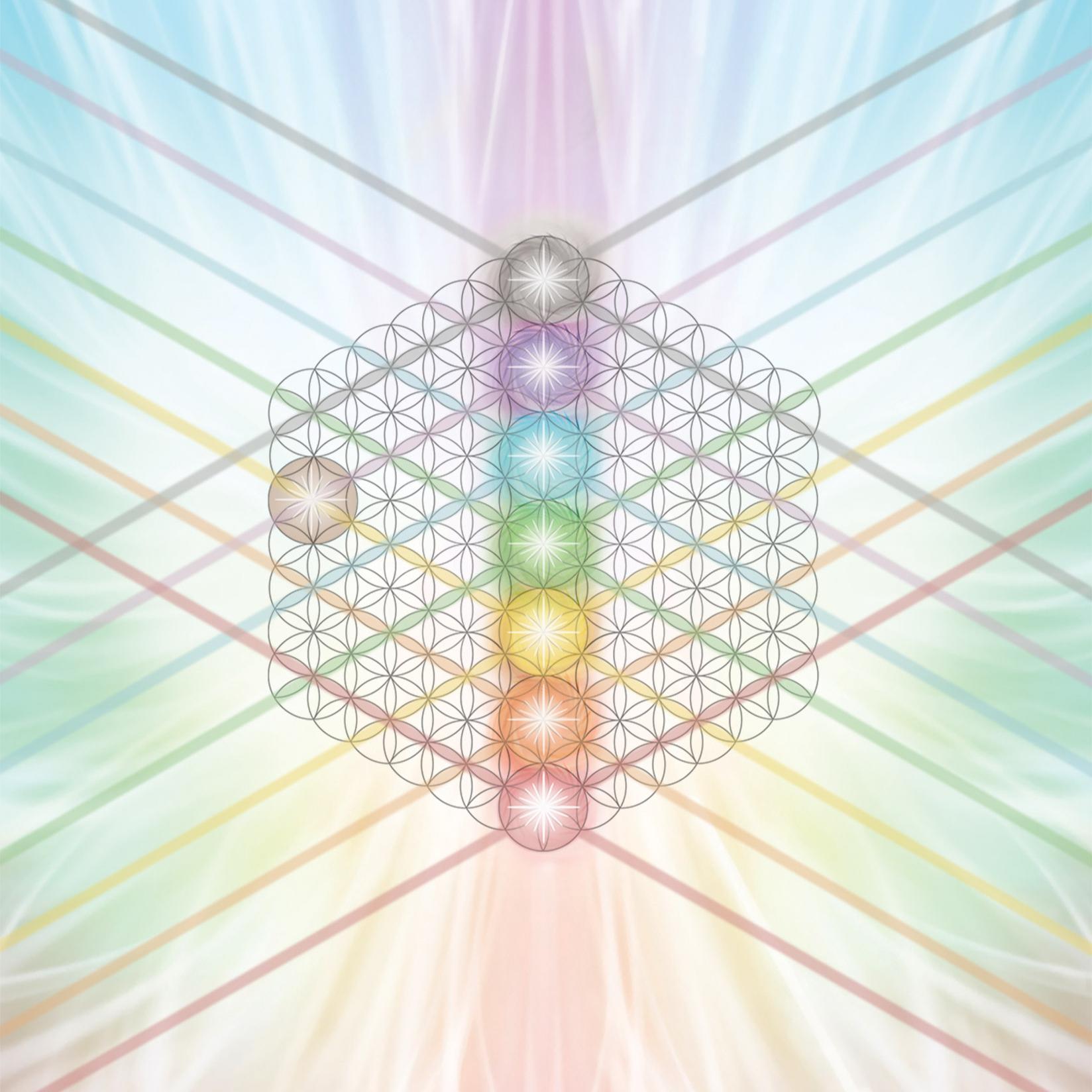 Business Chakras Nadine Bdil