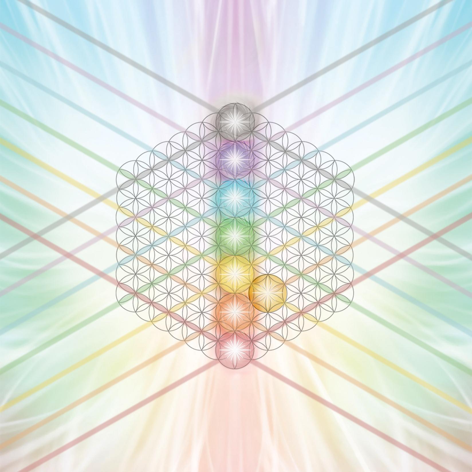 Business Chakras Nadine Bdil