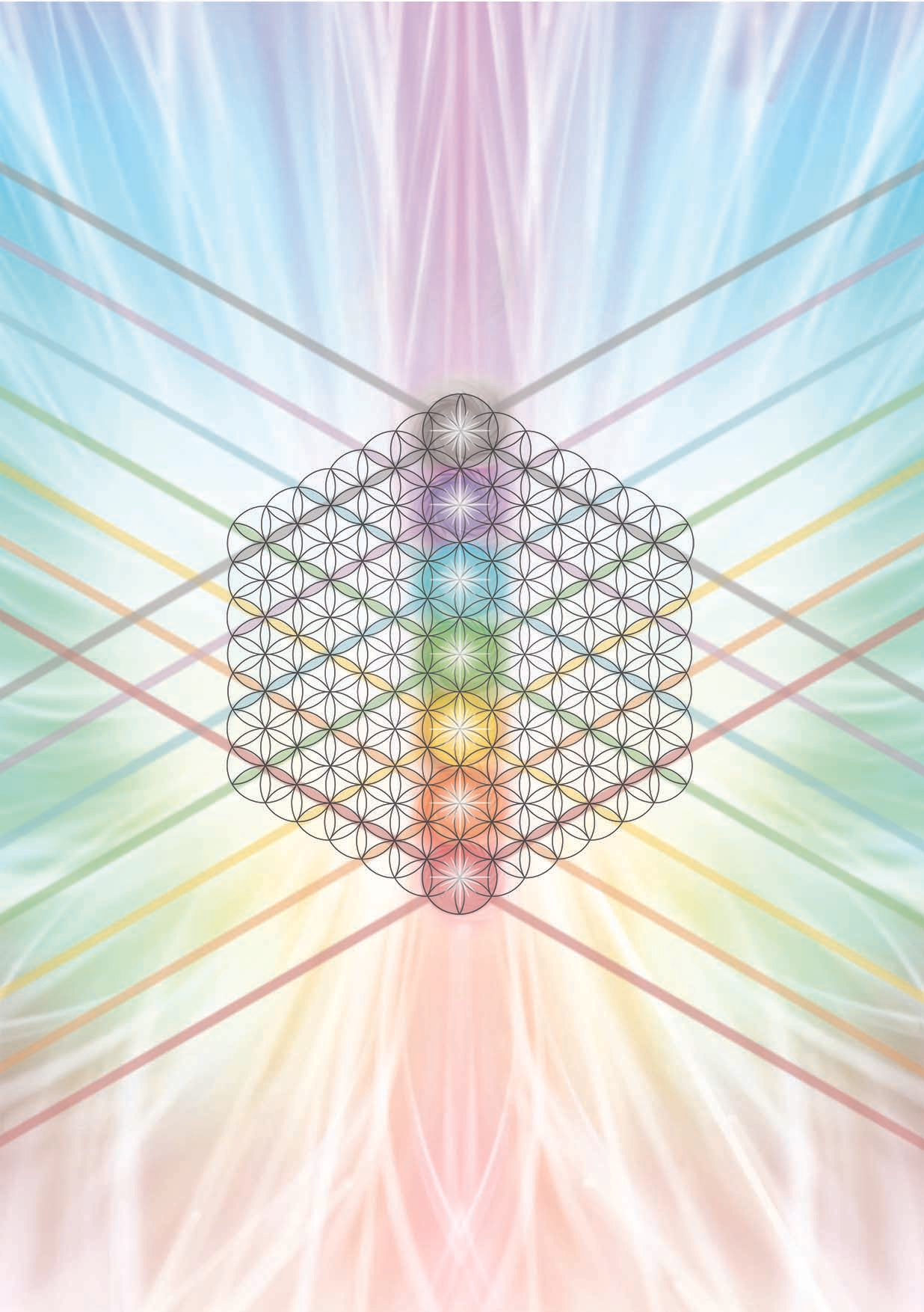 The Secret Energies of Business Chakra Book