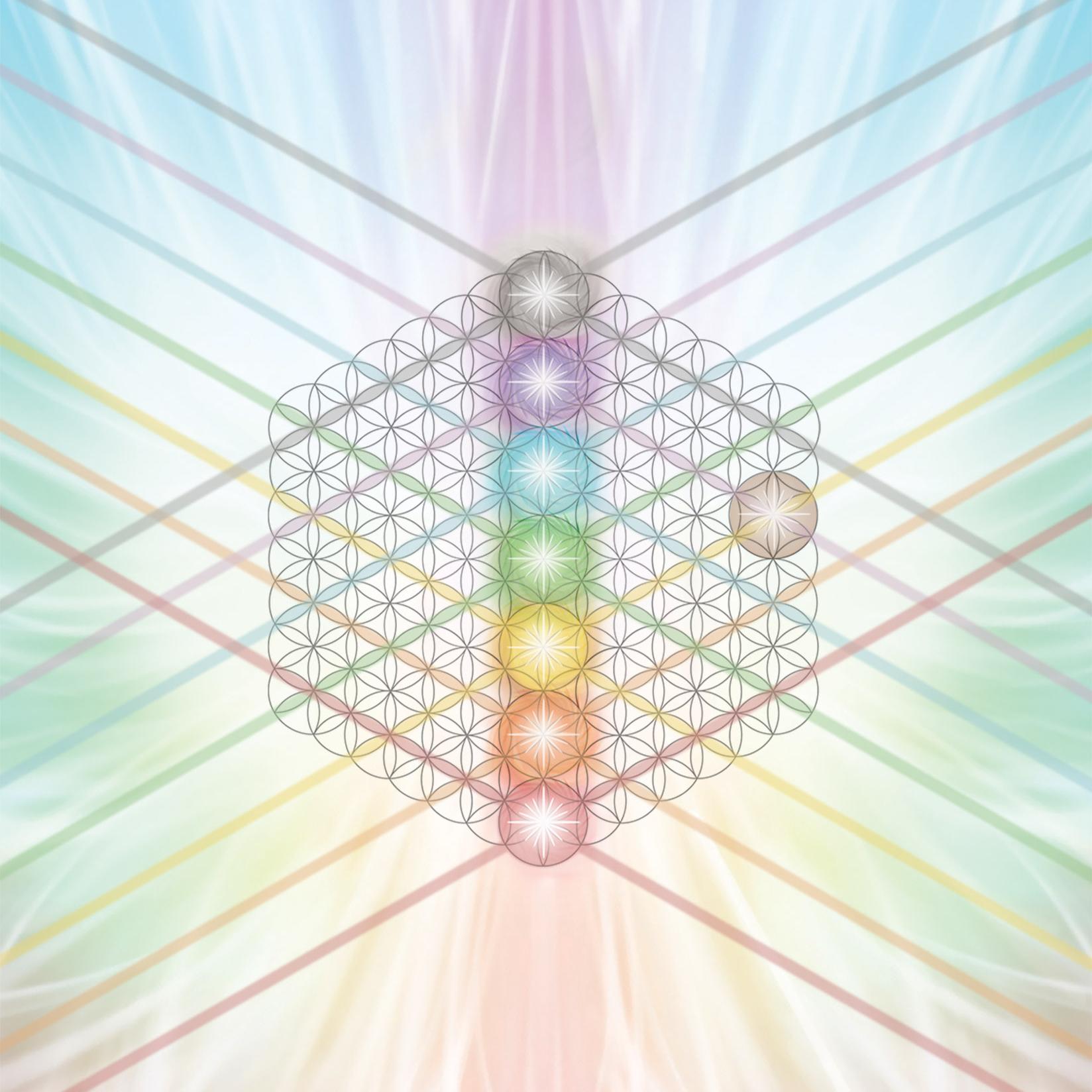 Business Chakras Nadine Bdil