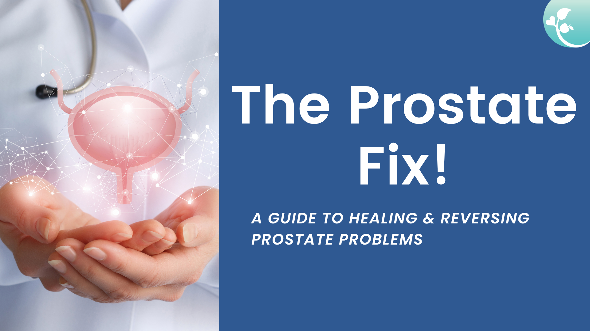 The Prostate Fix Masterclass