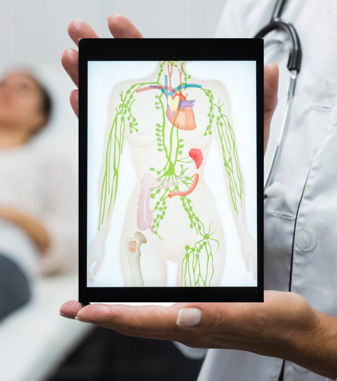 Lymphatic flow represented on ipad