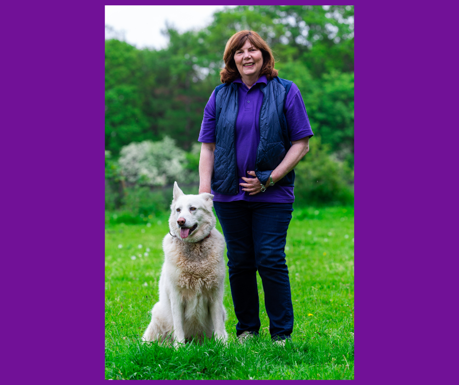 The Natural Dog Training Academy